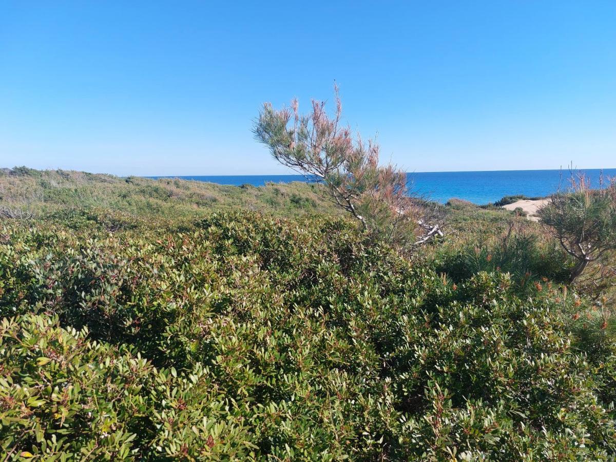 Mimar Casa Vacanze Charme Ed Eleganza Maruggio Εξωτερικό φωτογραφία